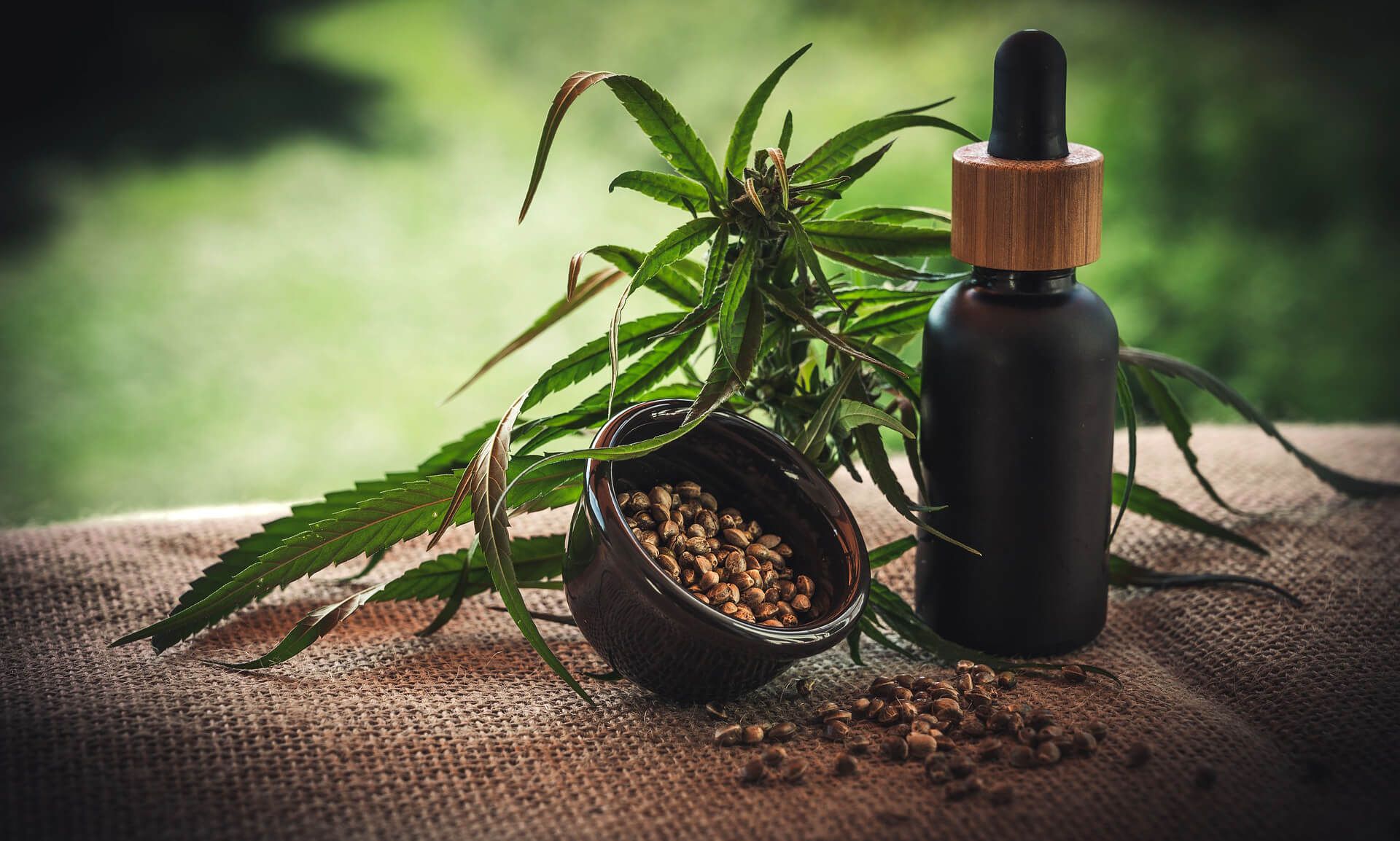 CBD-Öl-Flasche neben Hanfpflanze und Hanfsamen